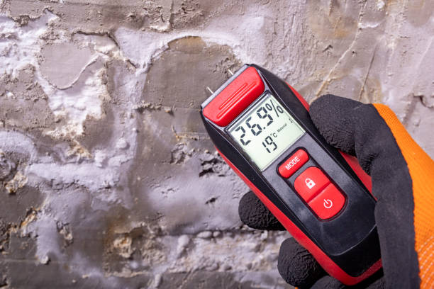 Attic Mold Removal in Cary, NC