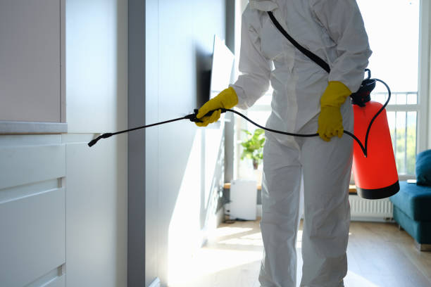 Best Affordable Mold Removal  in Cary, NC