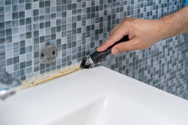 Best Local Mold Removal Service  in Cary, NC