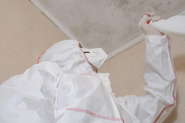 Professional Mold Removal in Cary, NC
